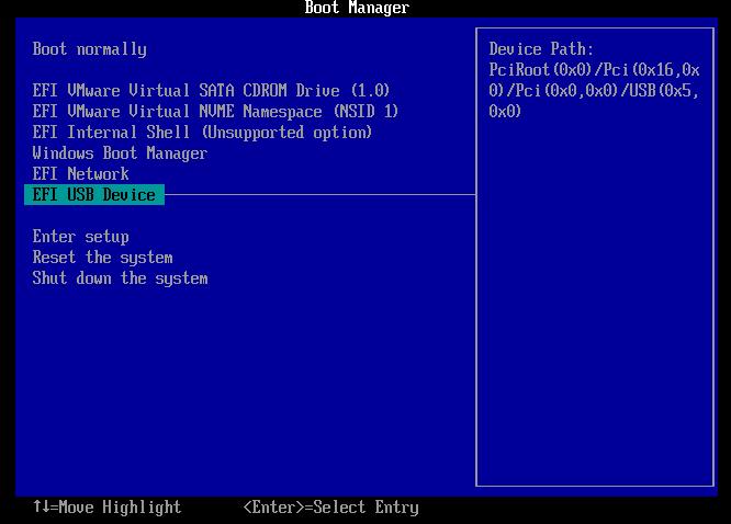enter into boot menu